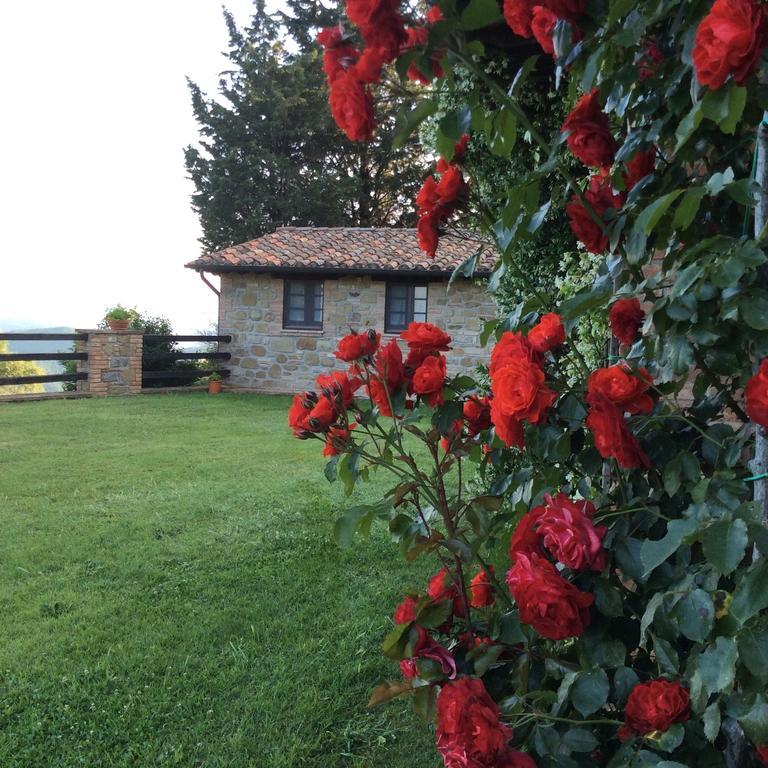 Agriturismo La Bicocca - Apt. "Il Leccio" Castel Rigone Pokój zdjęcie